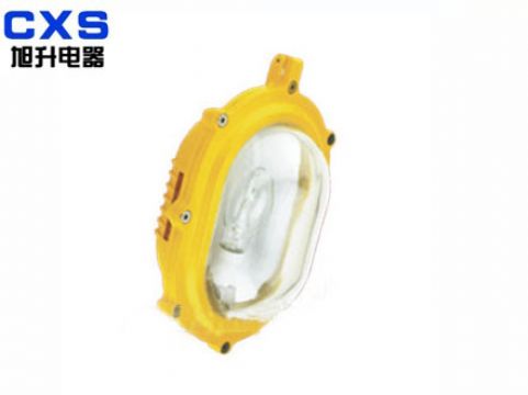 Inside Explosionproof Strong Floodlight